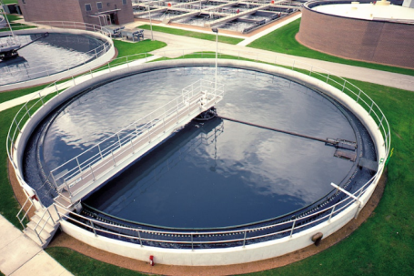 water-plant